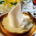 Role Of Table Napkin